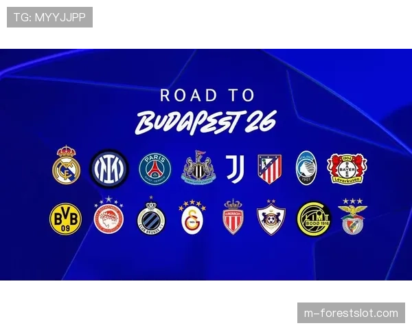 深度报道：回顾2025-26赛季意甲中游球队的战术趋同现象